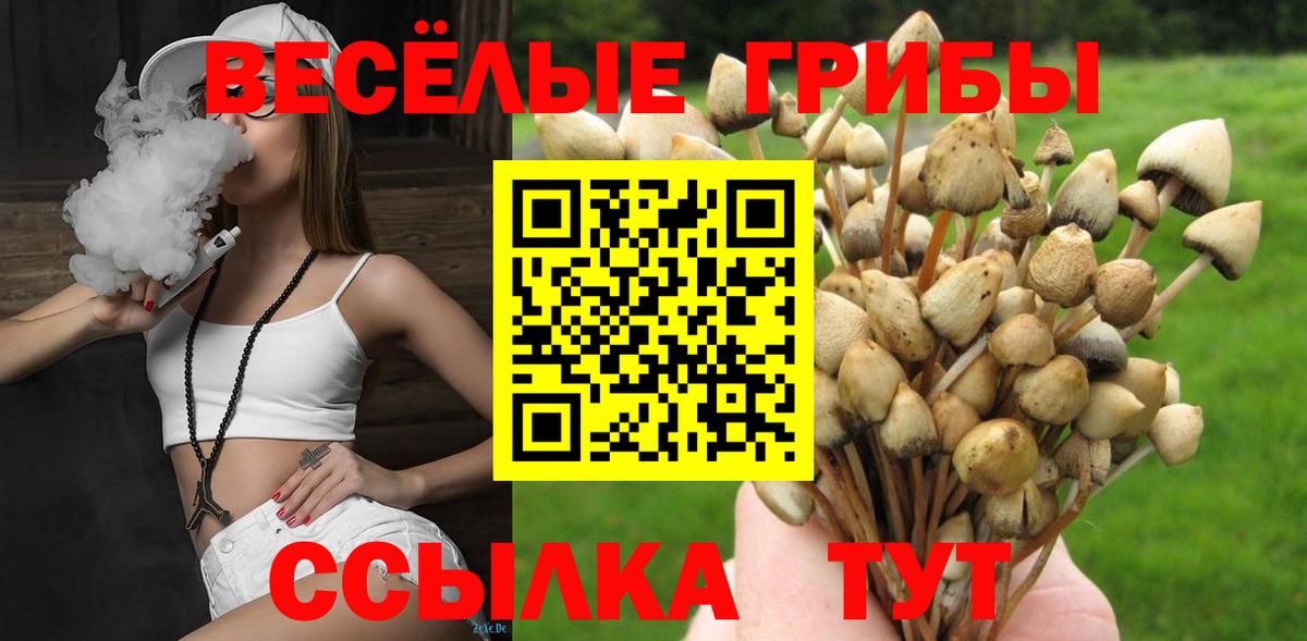Галлюциногенные грибы прущие грибы  Вход с VPN  Ачинск 